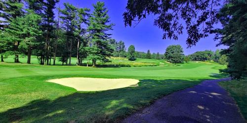 golf article